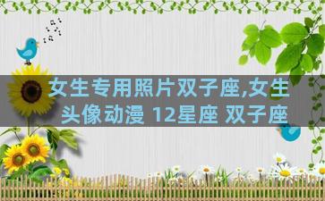 女生专用照片双子座,女生头像动漫 12星座 双子座
